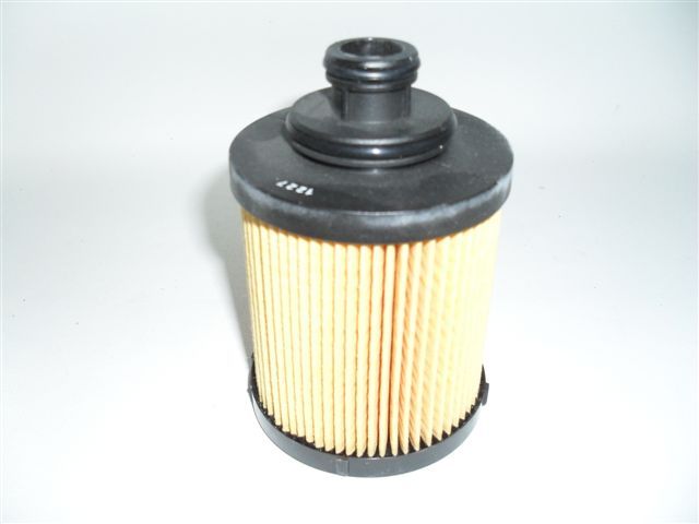 6064_mu-1240.jpg